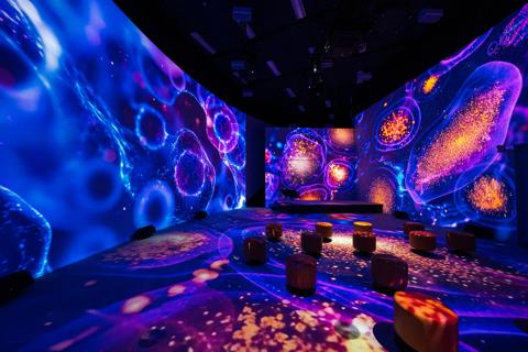 Immersive Experiences pod empty