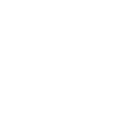 Global team of experts - icon