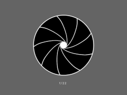 2022-04-14-lens-lexicon news gifs