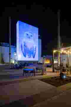Robert Wilson, KOOL Snowy Owl, 2006, HD video file for digital screen/projection. Courtesy of RW Work Ltd.