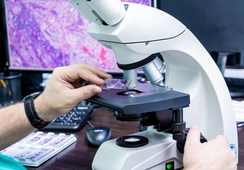 Laboratory assistant works with microscope at the modern laboratory