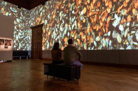 Customer story KMSKA (Koninklijk Museum Schone Kunsten Antwerpen) Immersive room highlights craftmanship of great masters in Royal Museum of Fine Arts Antwerp