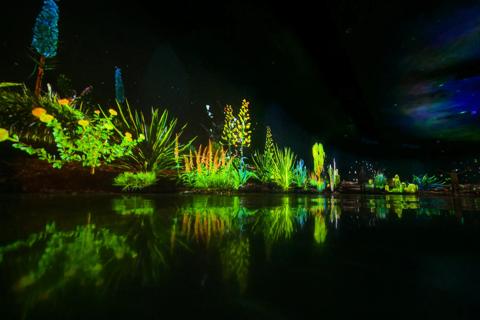 Barco G-series lights up the Shanghai Greenhouse Garden with an immersive experience