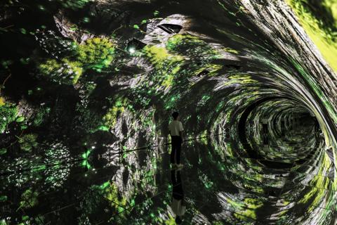 nature-comes-to-life-in-d-strict-arte-museums--powered-by-barco- customer story d'strict