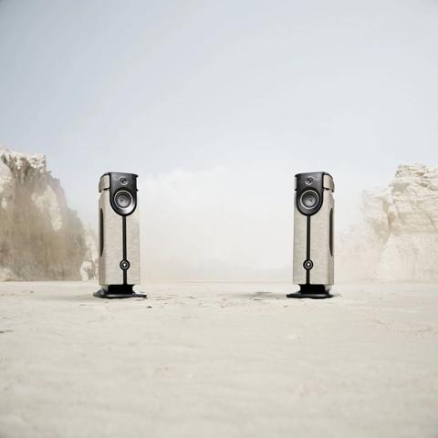 Focal - Naim acquisition
