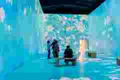 Pictures for customer story The Real Van Gogh Immersive Experience  in India via Spectrum AV with G100 projectors