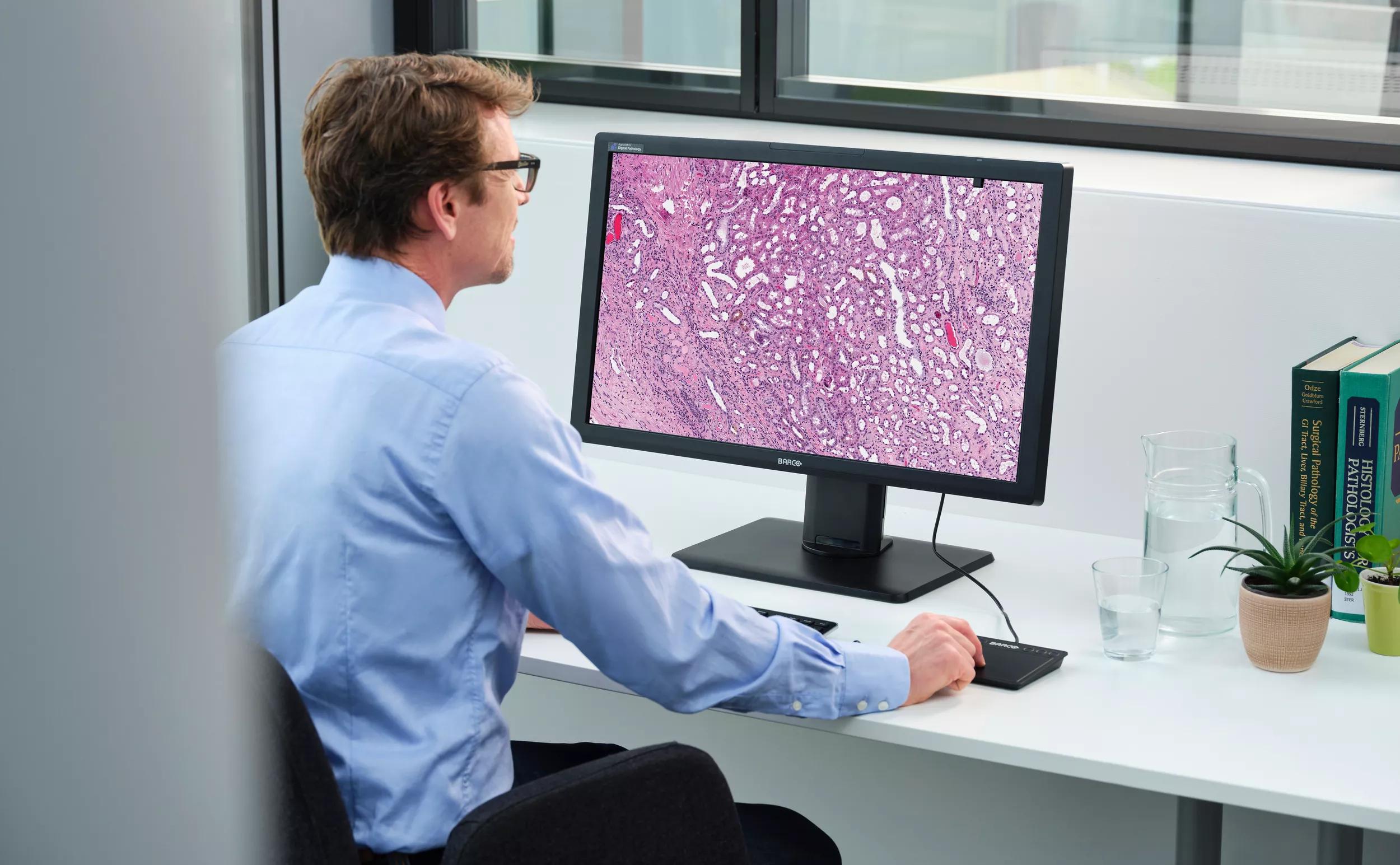 Pathologist working with a medical display for digital pathology
