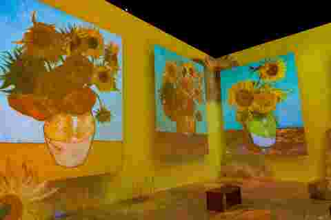 Pictures for customer story The Real Van Gogh Immersive Experience  in India via Spectrum AV with G100 projectors