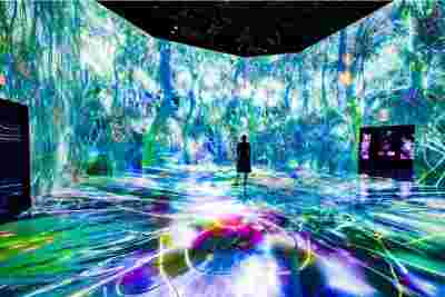 Visitor in the middle of the immersive experience Life of a neuron by ARTECHOUSE DC powered by Barco laser projectors
