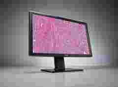 Barco digital pathology display