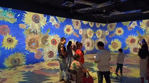 Pictures for customer story Van Gogh’s sunflowers in full bloom in Palladium Ahmedabad immersive experience powered by Barco G62 projectors
