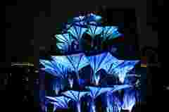 Pictures for customer story projection mapping XiAn Tree/Tree of Life in China with Barco UDX and G100 projectors