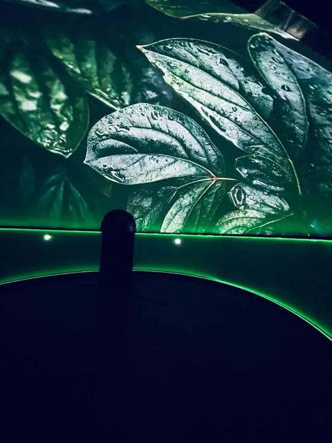 Inside the world's first neuro-sensory therapeutic dome. Sensorium Health powered by Barco G50 projectors.