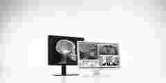Dental displays