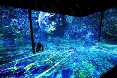 digital art experience in ARTECHOUSE Houston with Barco UDM and F80 projectors