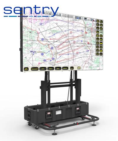 sentry video wall strategic alliance partner