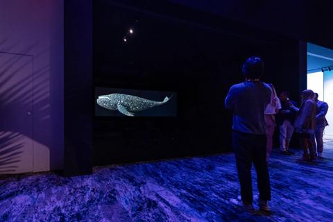 Pictures for customer story Art Basel Miami Beach by d'strict