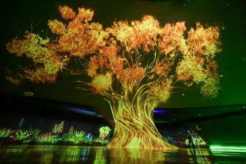 Barco G-series lights up the Shanghai Greenhouse Garden with an immersive experience