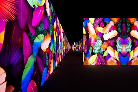 nature-comes-to-life-in-d-strict-arte-museums--powered-by-barco- customer story d'strict