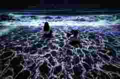 nature-comes-to-life-in-d-strict-arte-museums--powered-by-barco- customer story d'strict